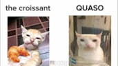 Today I want to eat a quaso