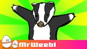 Badgers